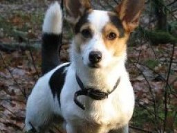 cojack_20211223_1682943649